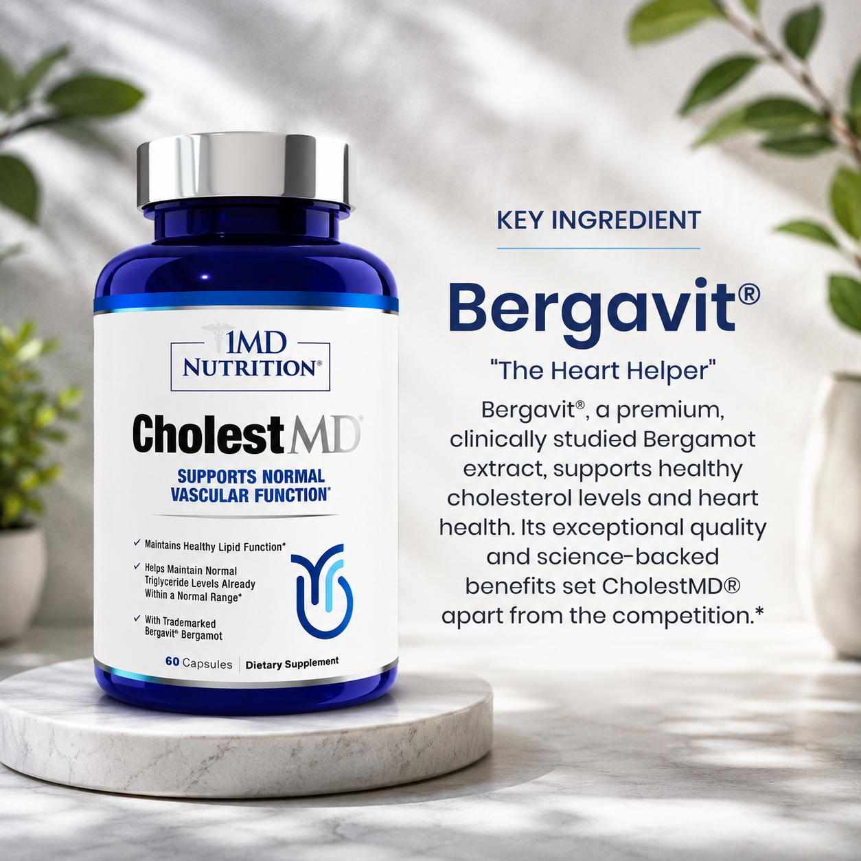 2 Pack CholestMD 60 Capsules – Cholesterol & Normal Vascular Function Support